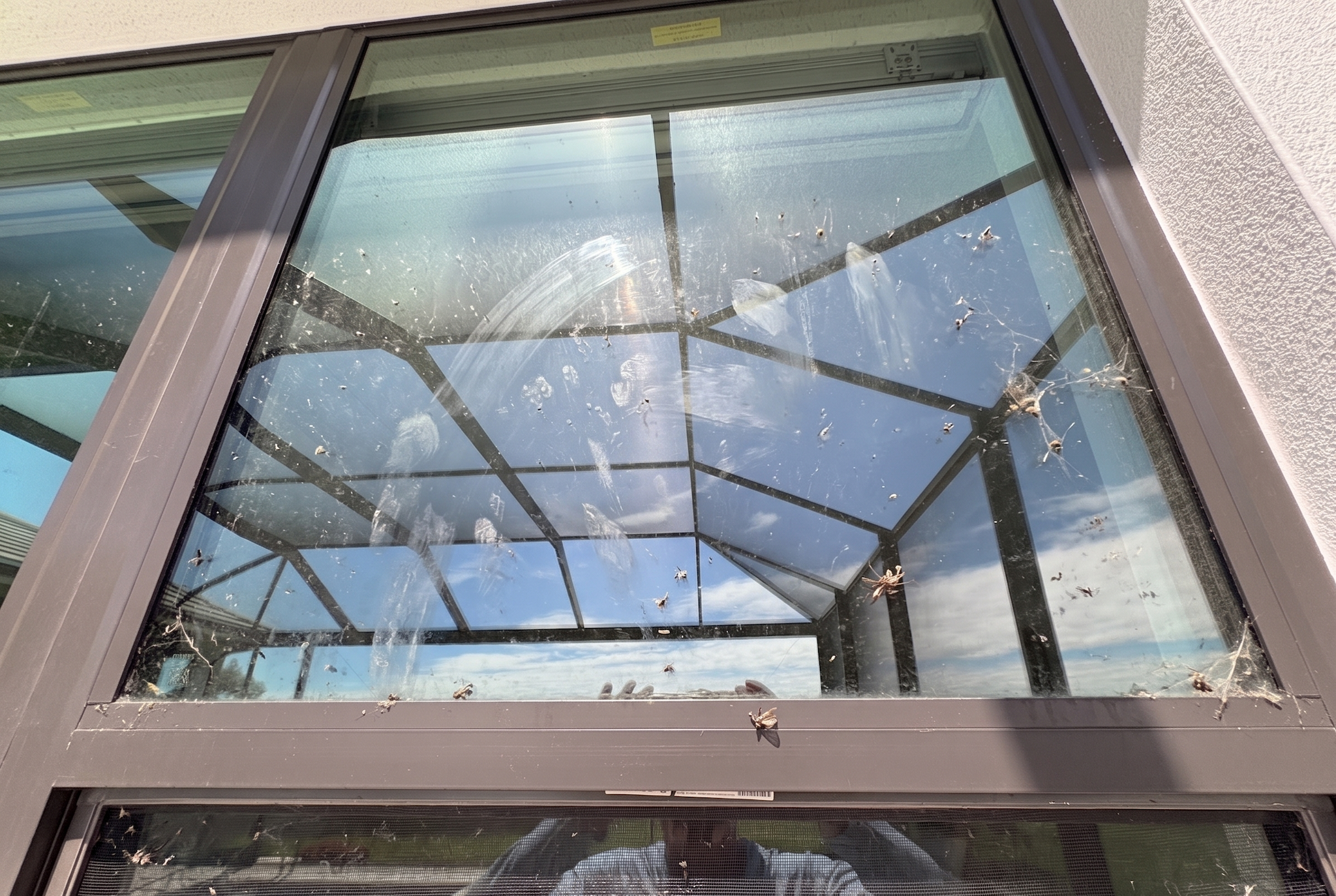 Window Washing — before